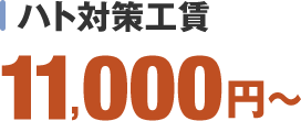 ハト対策工賃は11,000円から対応致します。