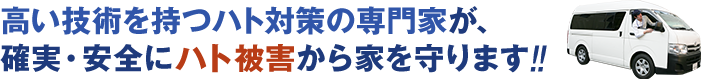 高い技術を持つハト対策の専門家が、確実・安全にハト被害から家を守ります。