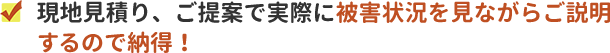 現地見積り、ご提案で実際に被害状況を見ながらご説明するので納得。