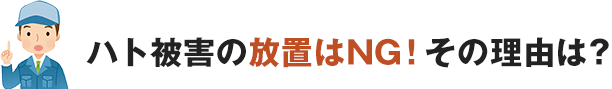ハト被害の放置はNG、その理由は
