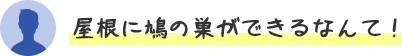 屋根に鳩の巣ができるなんて。